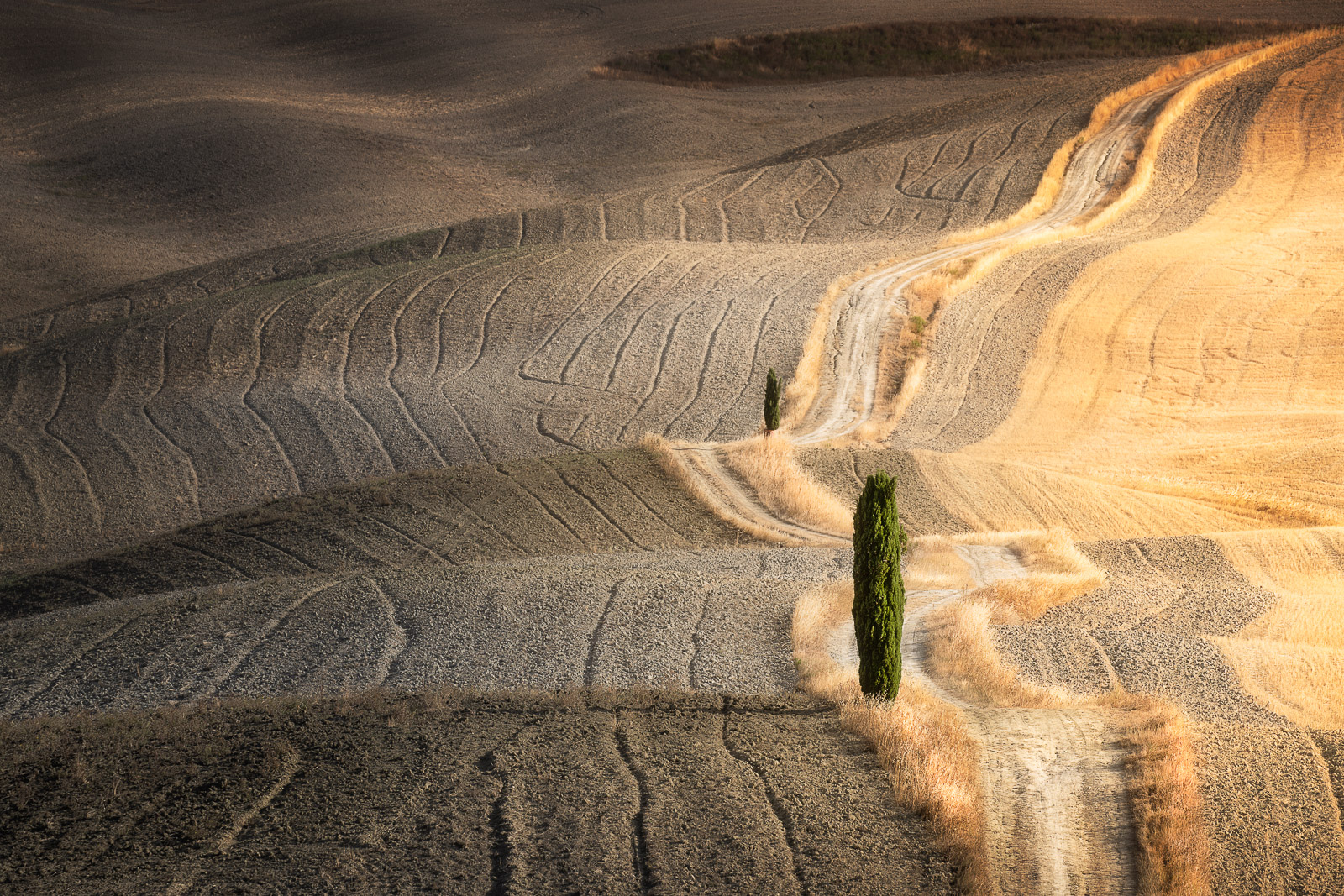 08053703082021215 ©SimonePaleari