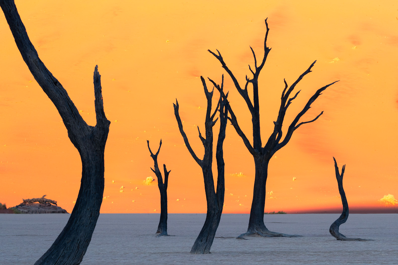 08090011082024224 ©SimonePaleari