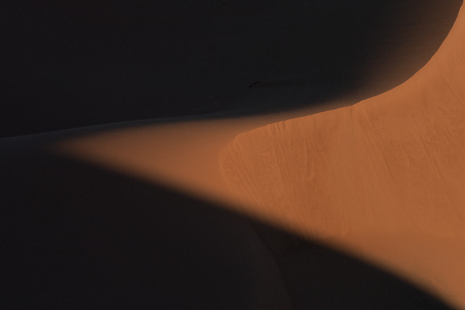 09545308012010008 ©SimonePaleari