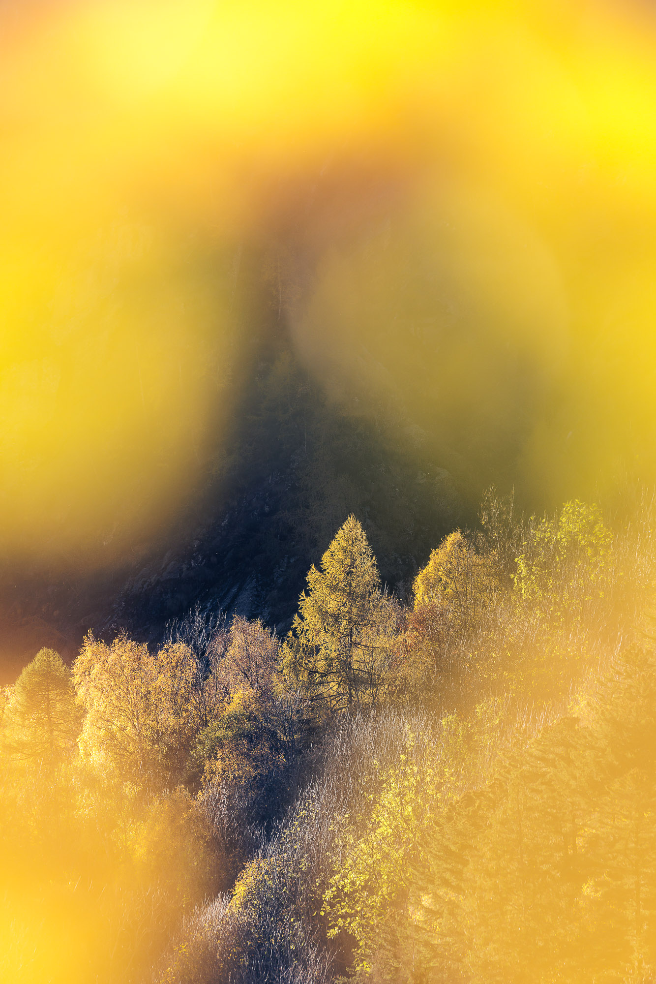 10490027102022300 ©SimonePaleari