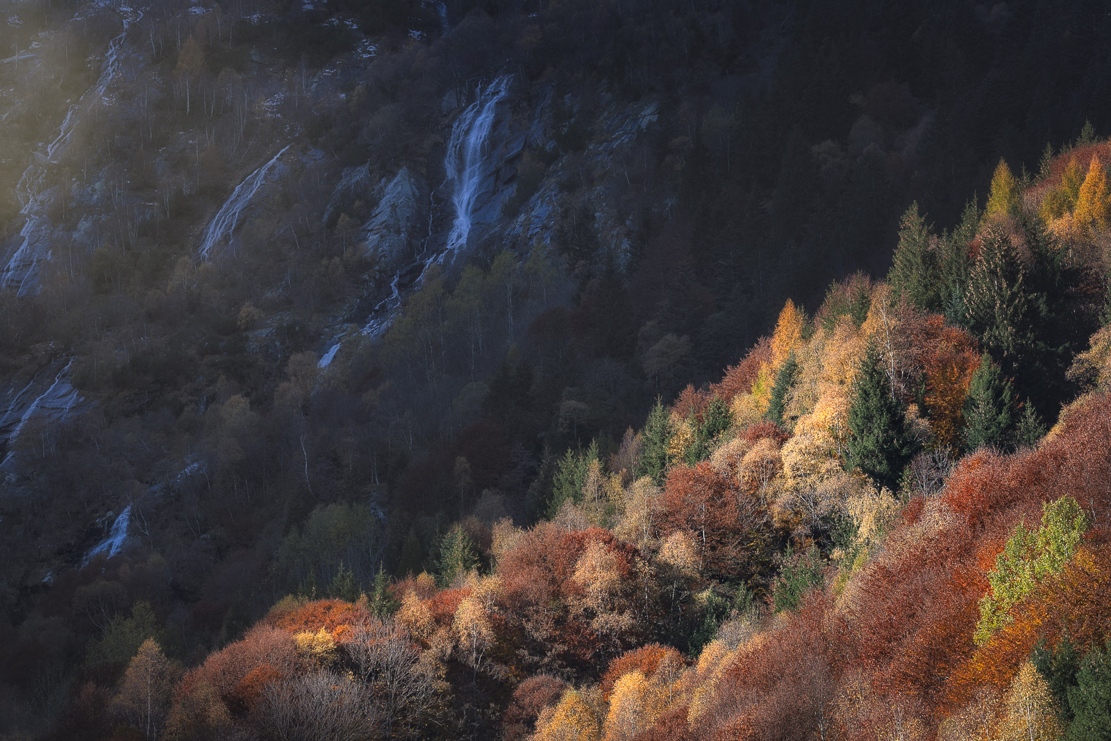 11371330102020304 ©SimonePaleari