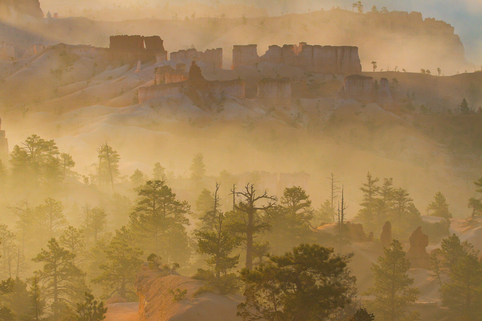 15075218082011230 ©SimonePaleari