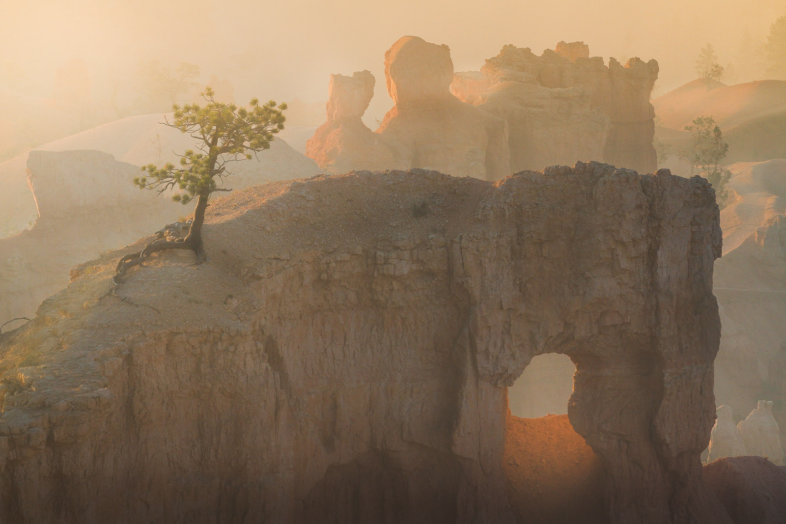 15093118082011230 ©SimonePaleari