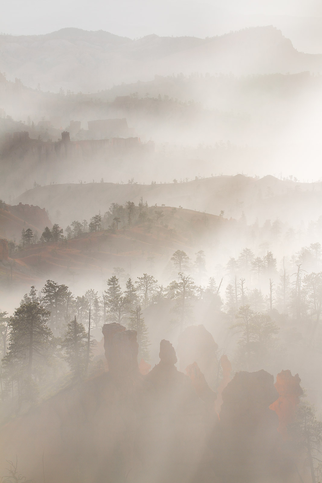 15392118082011230 ©SimonePaleari