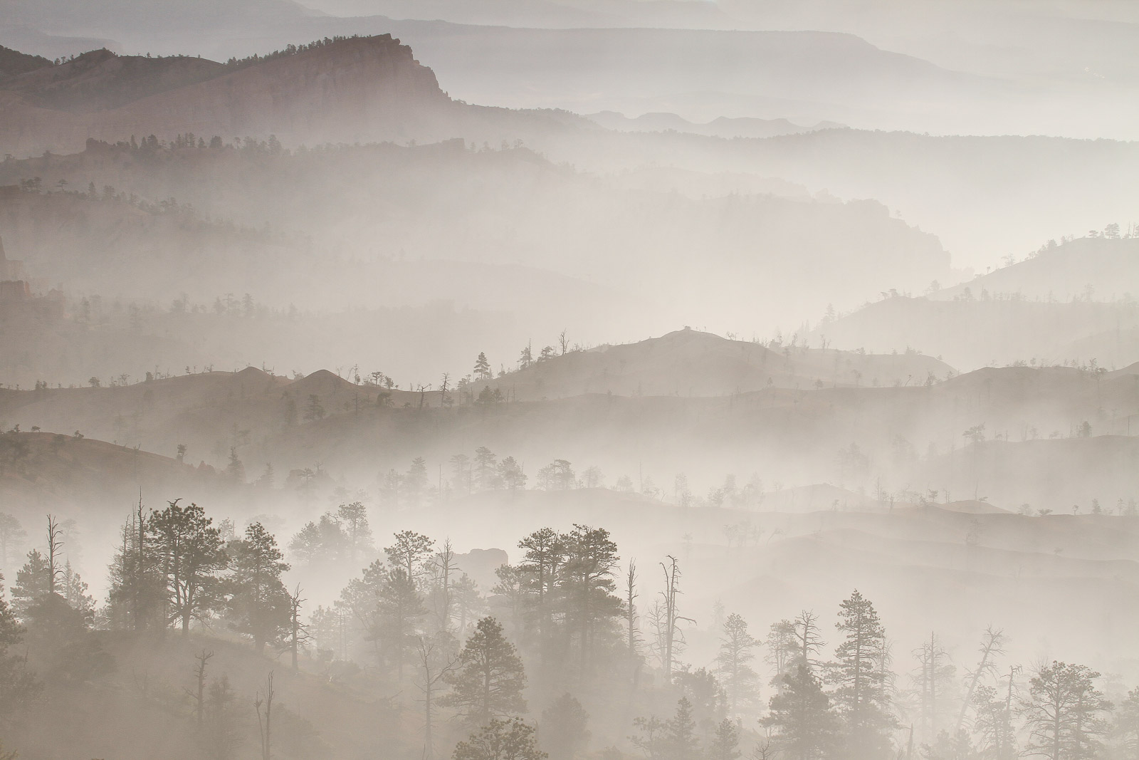 15455118082011230 ©SimonePaleari