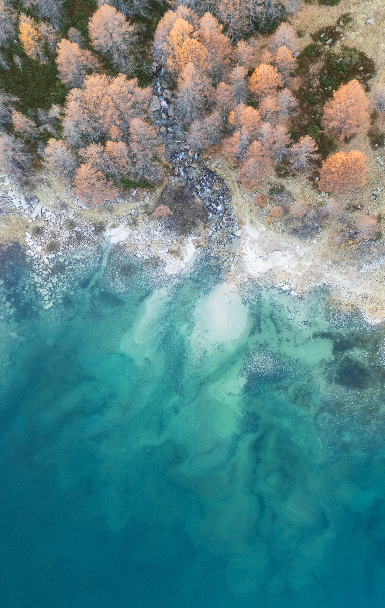 16193510112024315 ©SimonePaleari