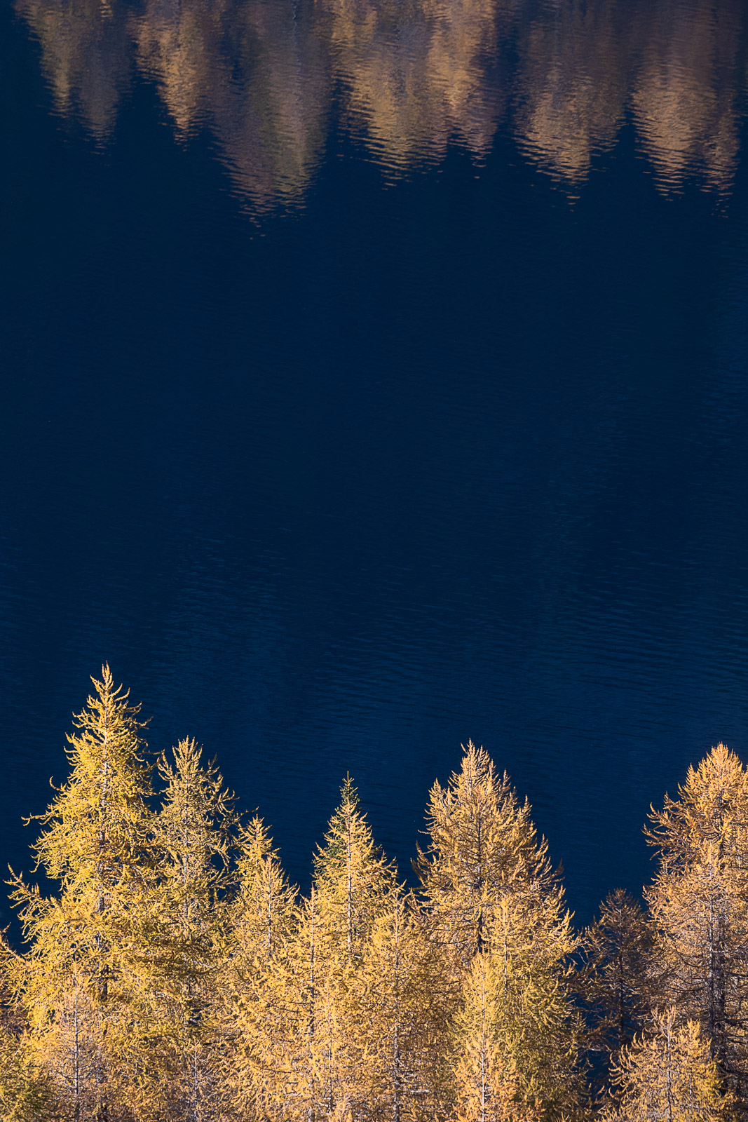 17085824102021297 ©SimonePaleari