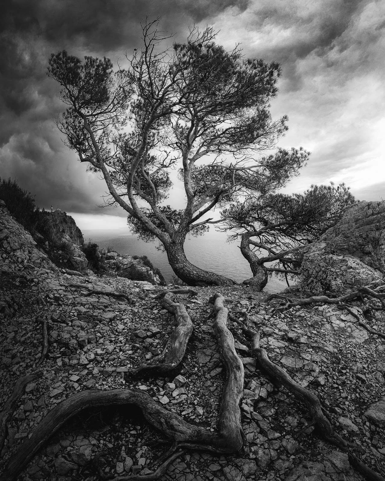 17344503012022003 ©SimonePaleari