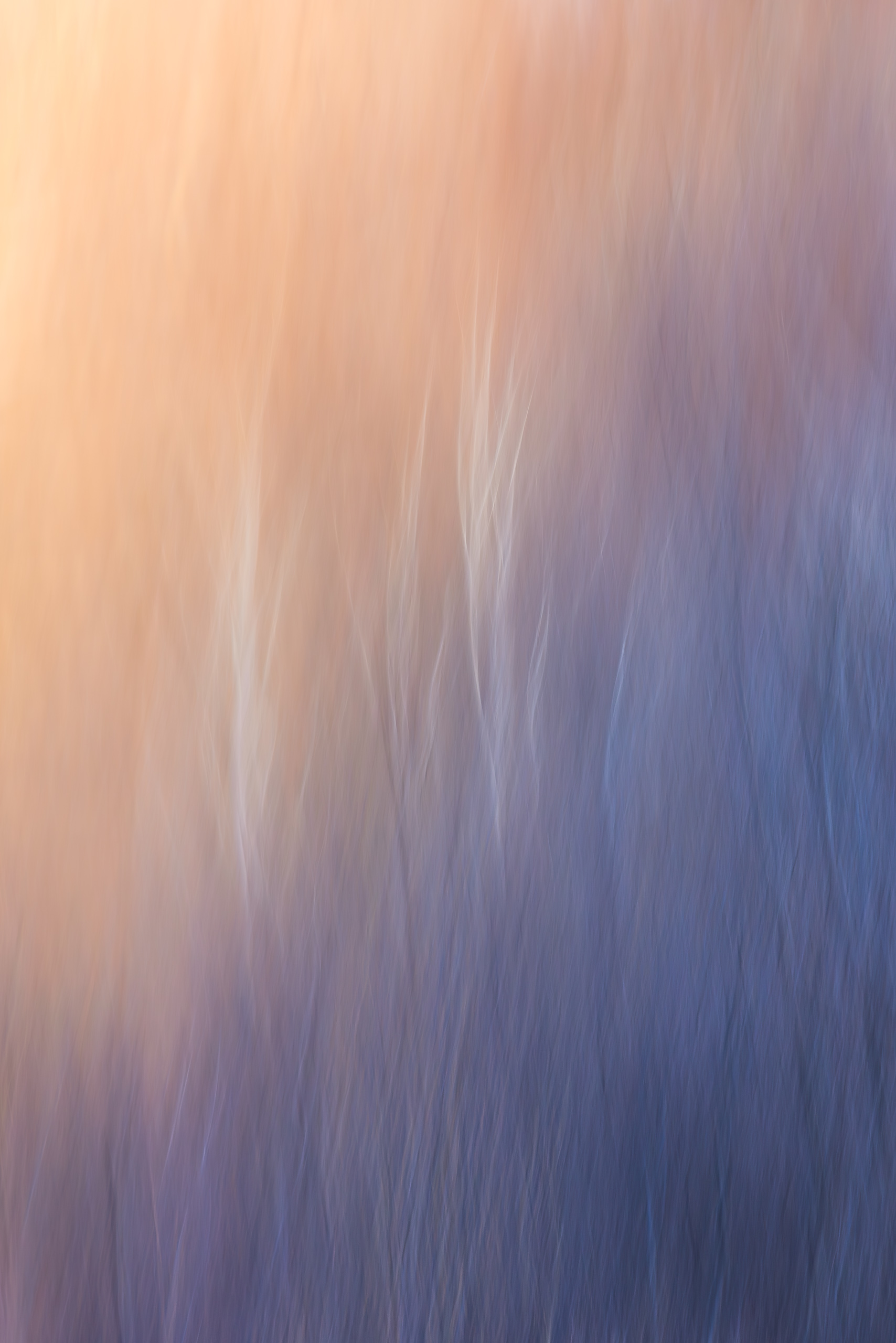 17452129112025333 ©SimonePaleari