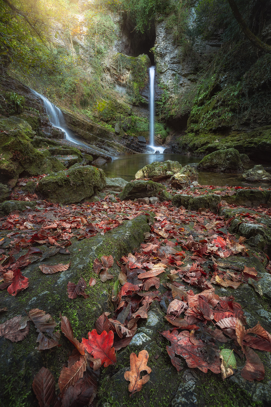 17541522102021295 2 ©SimonePaleari