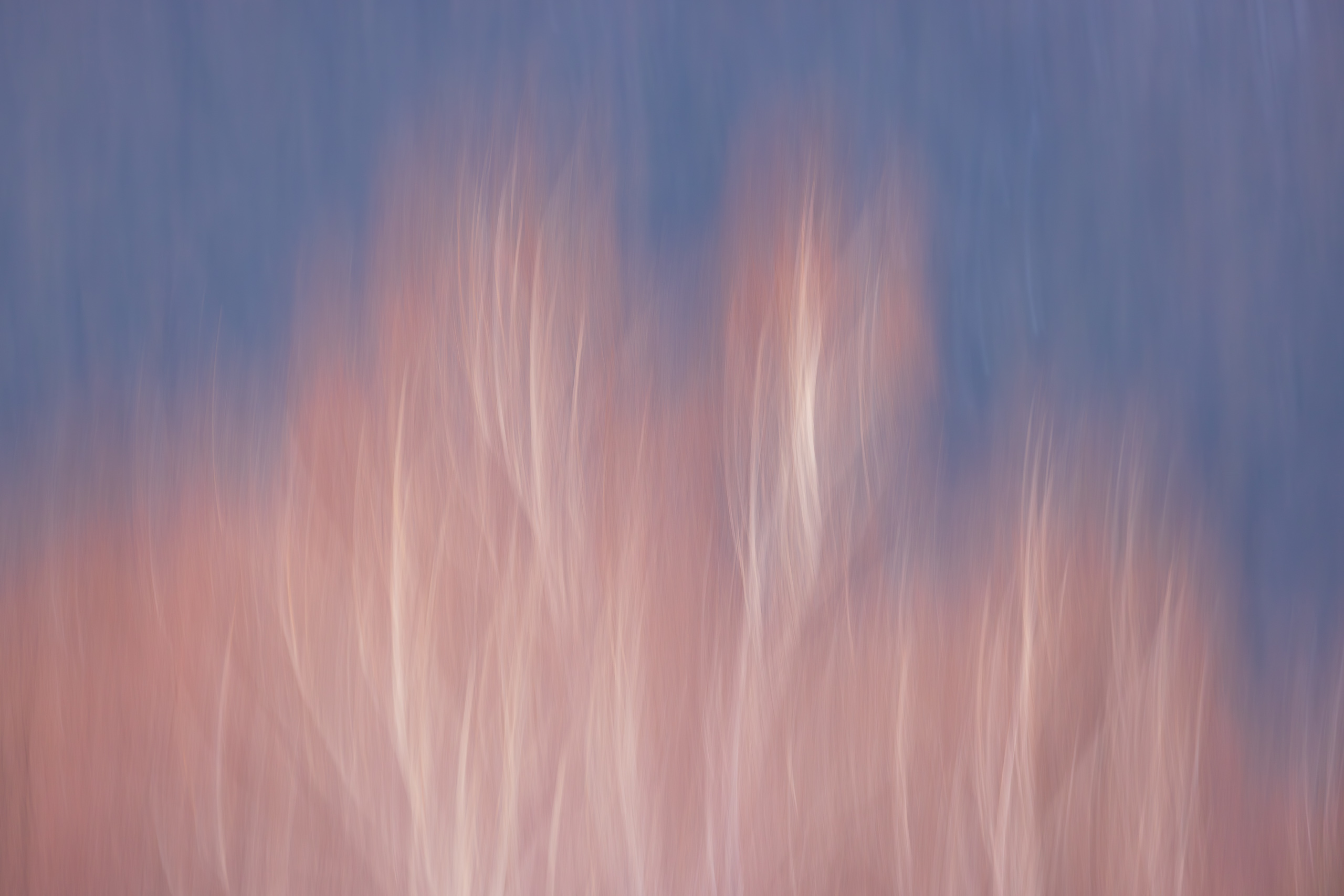 17570422112025326 ©SimonePaleari