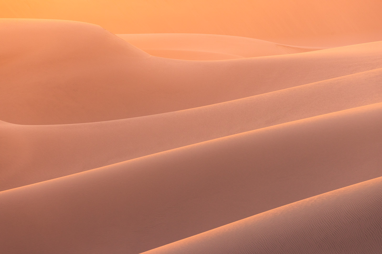 18301013082024226 ©SimonePaleari