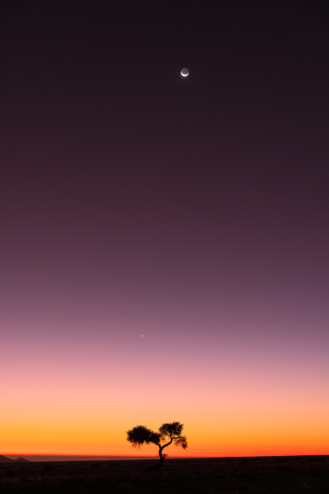 19131807082024220 2©SimonePaleari