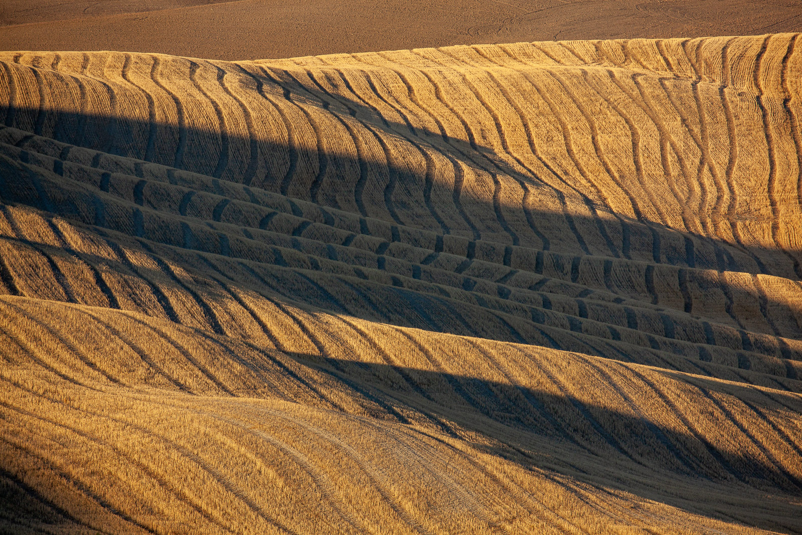 19272715082020228 ©SimonePaleari