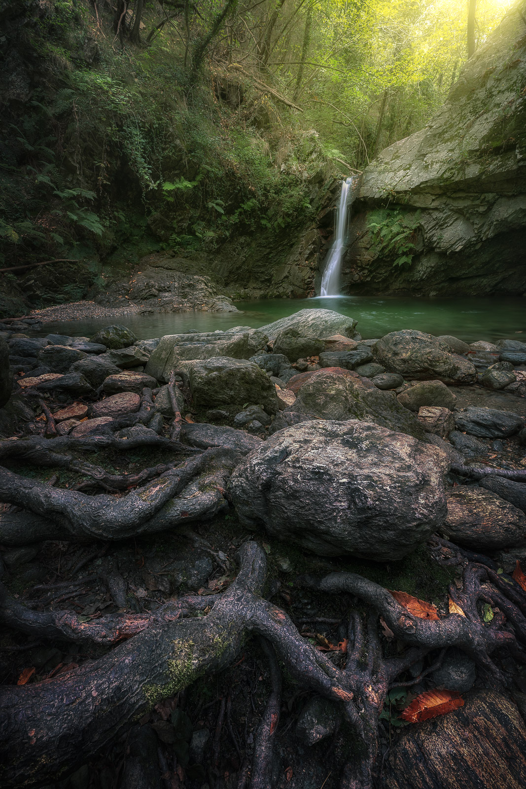 19343227082021239  2 ©SimonePaleari