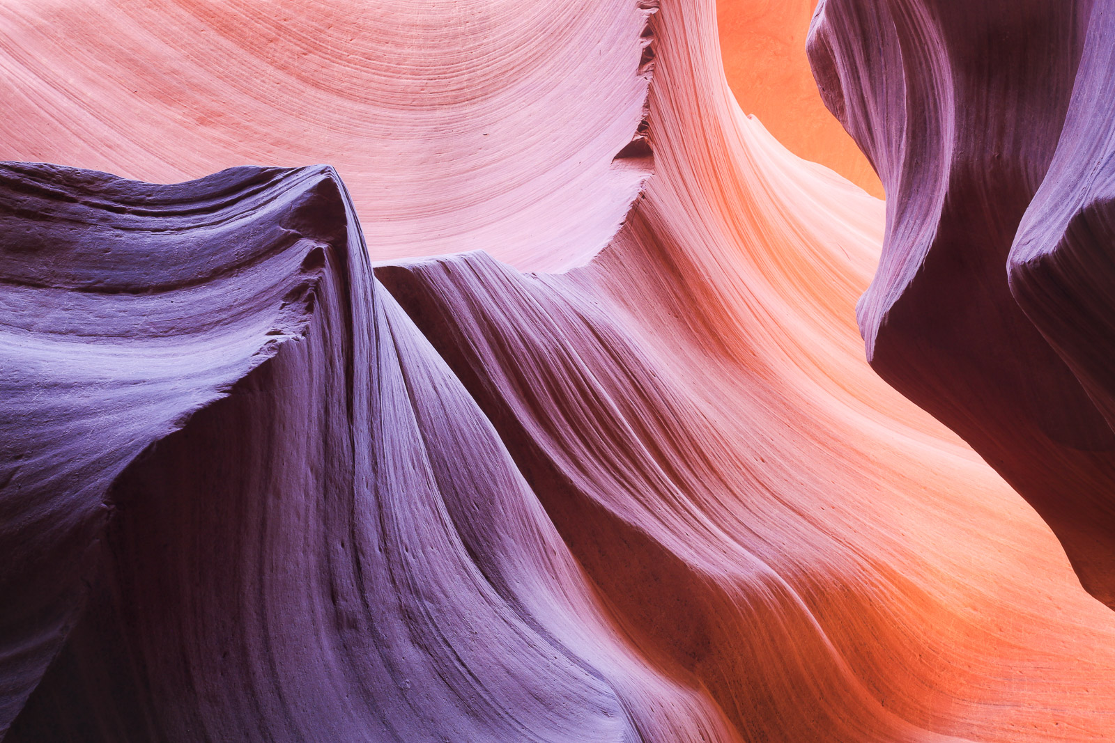 19425524082011236 ©SimonePaleari