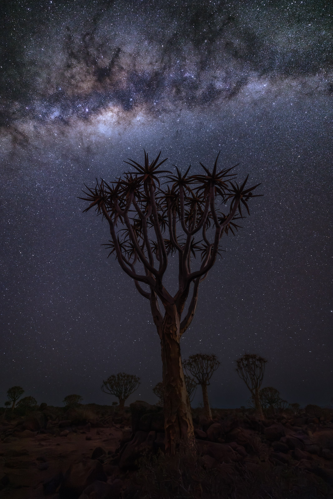 19510705082024218 ©SimonePaleari