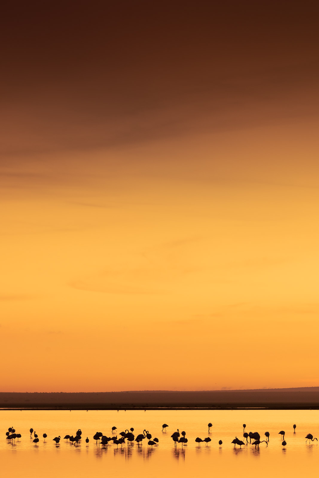 06153820082022232 ©SimonePaleari