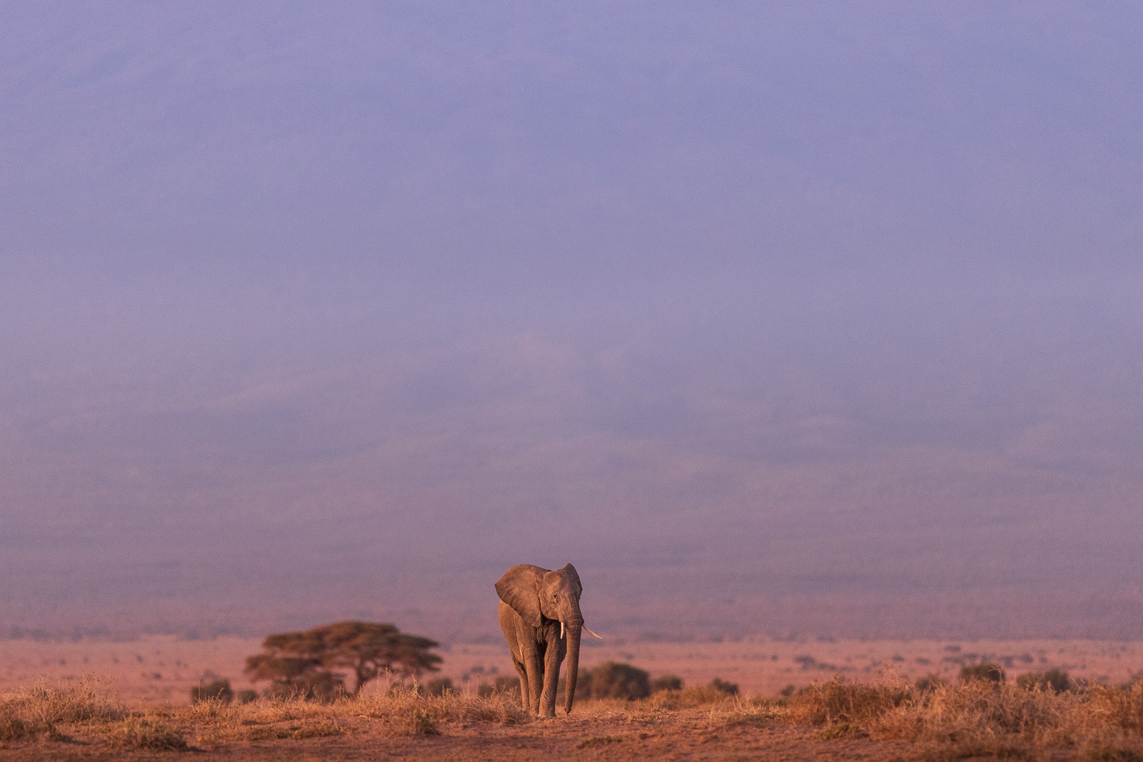 06155319082022231 ©SimonePaleari