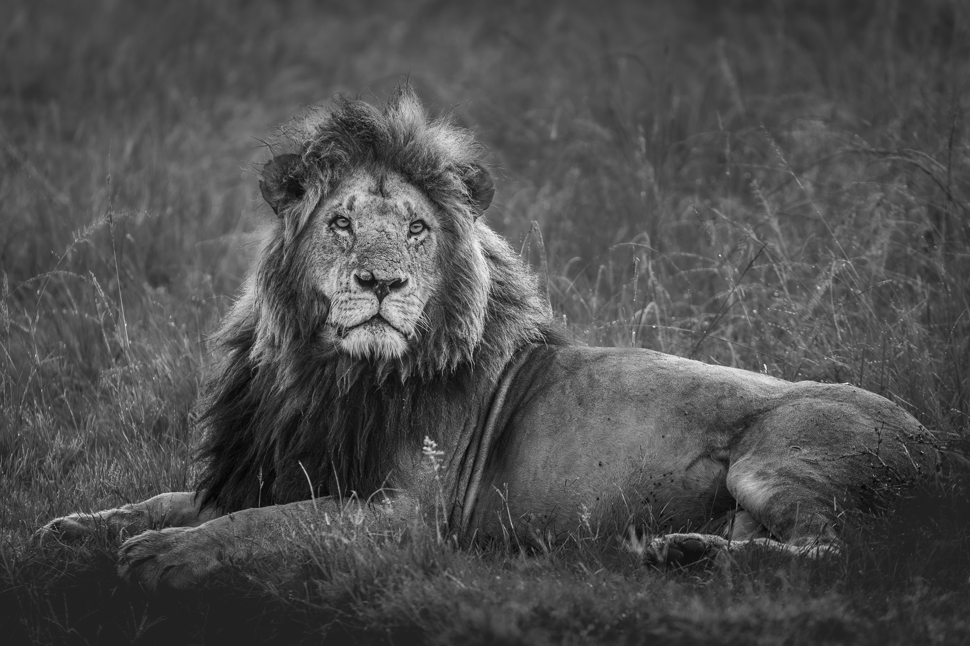 06342001012025001 ©SimonePaleari