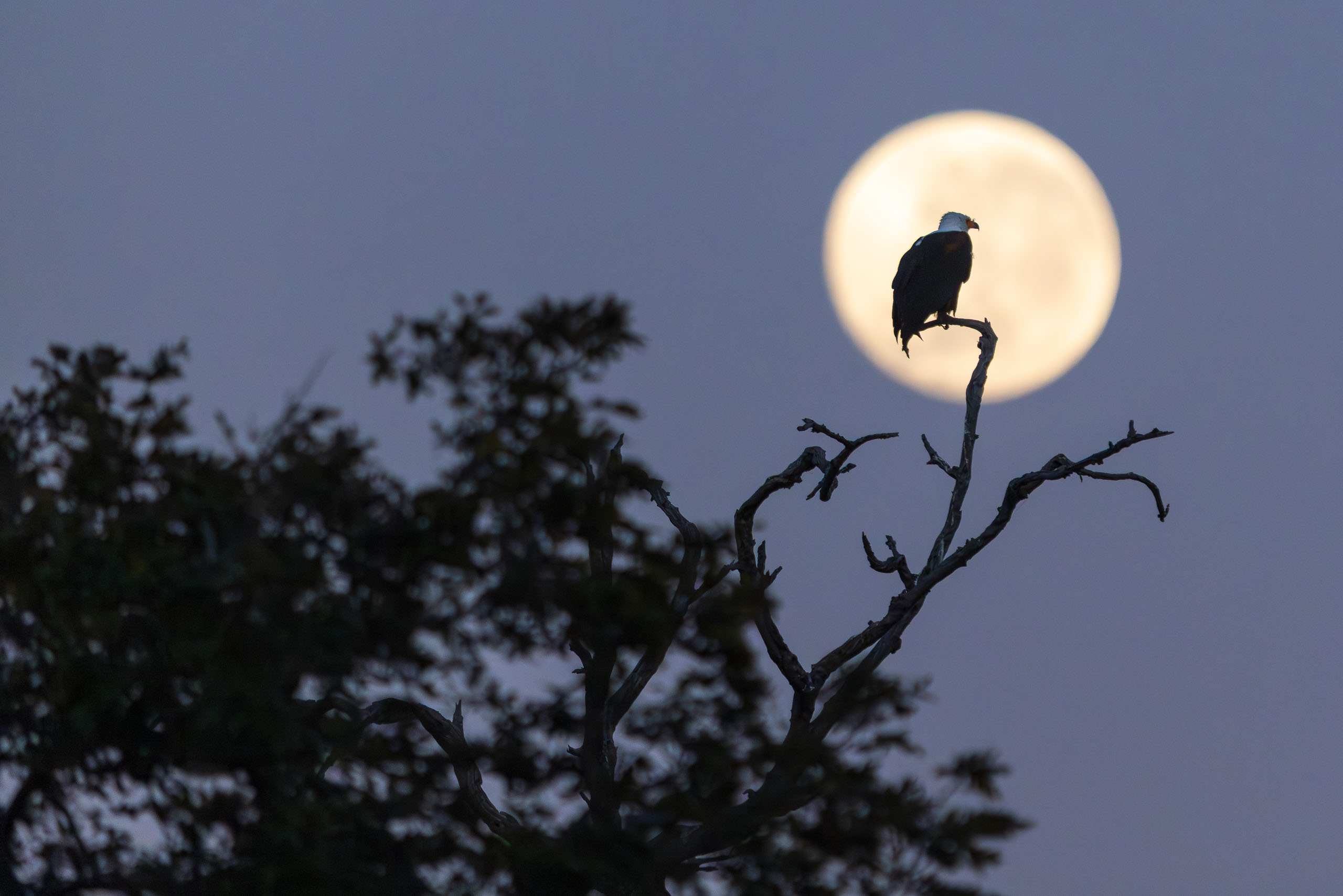 06392710082025222 ©SimonePaleari