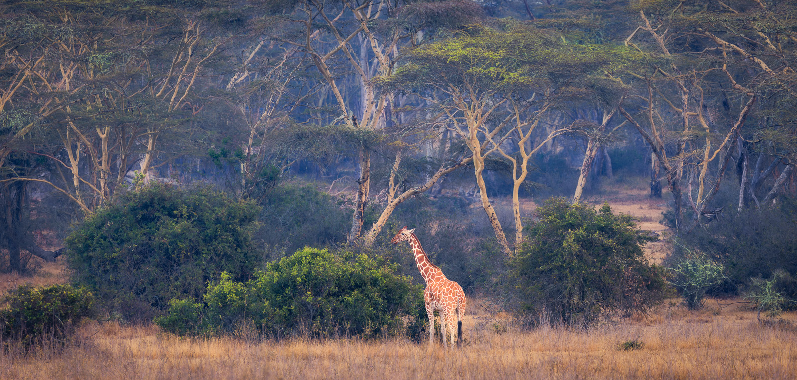 06472316082023228 ©SimonePaleari c