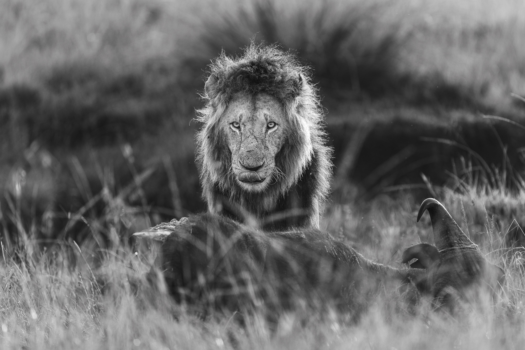 06522131122024366 ©SimonePaleari