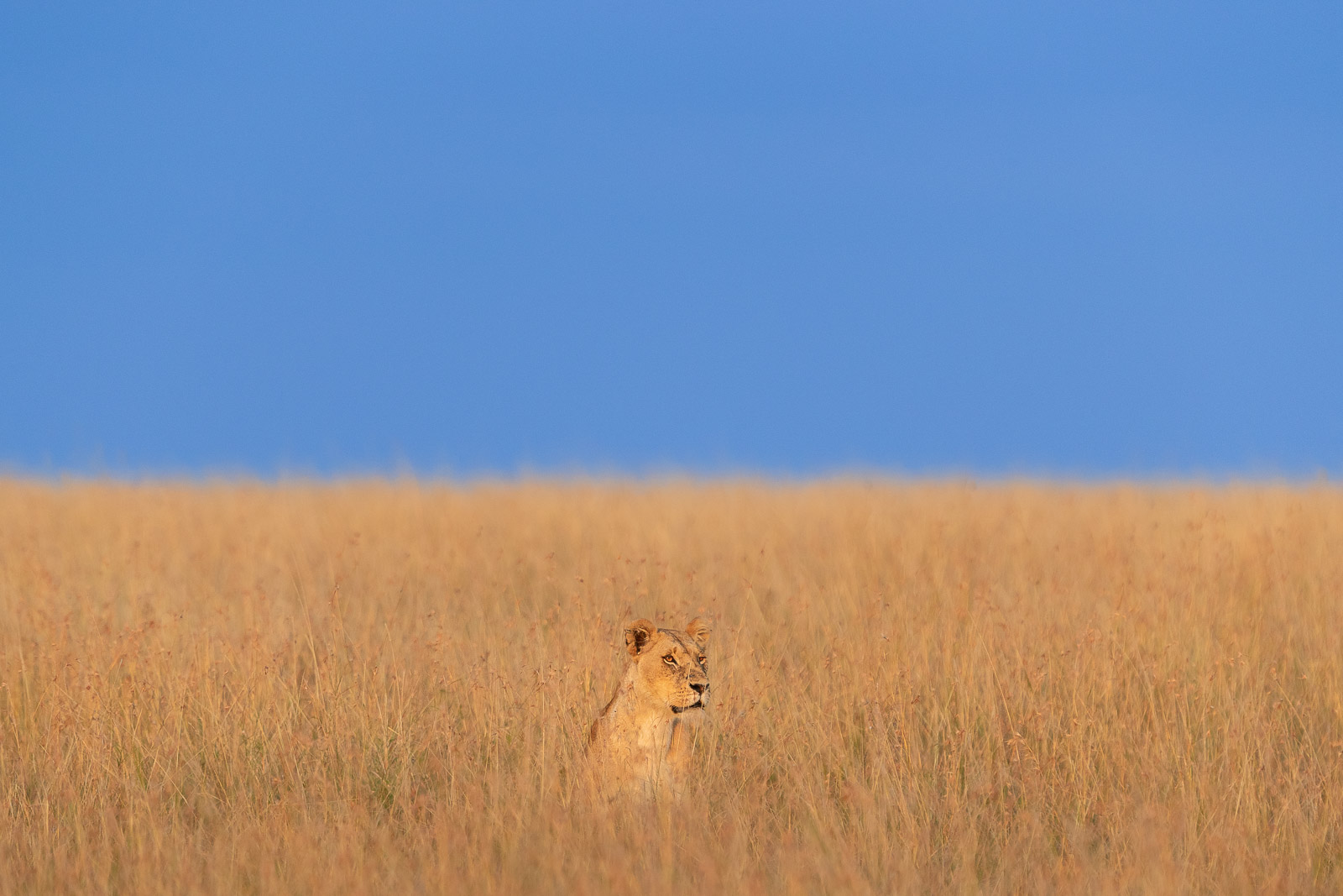 07003212082022224 ©SimonePaleari