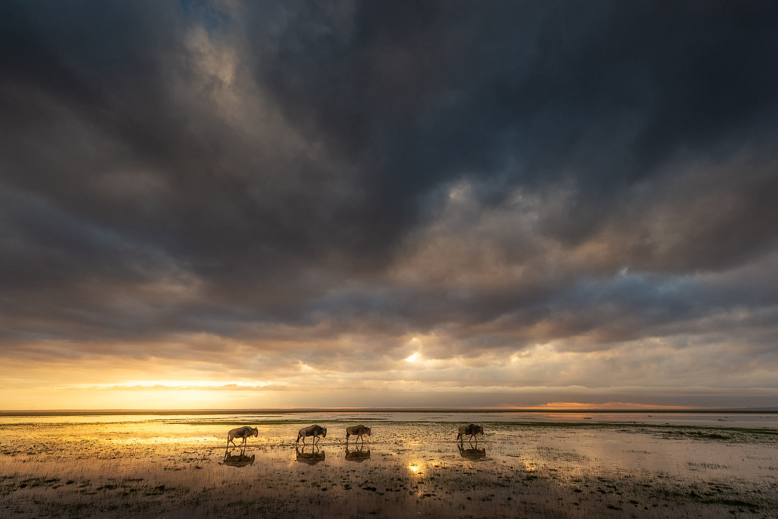 07012718082022230 ©SimonePaleari