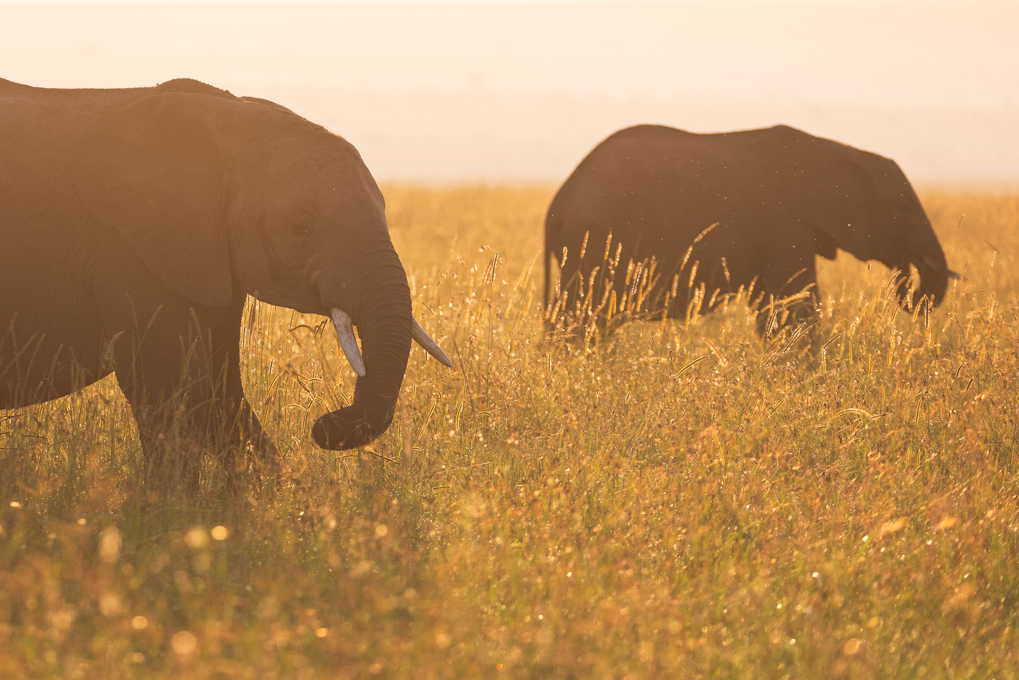 07022730122024365 ©SimonePaleari