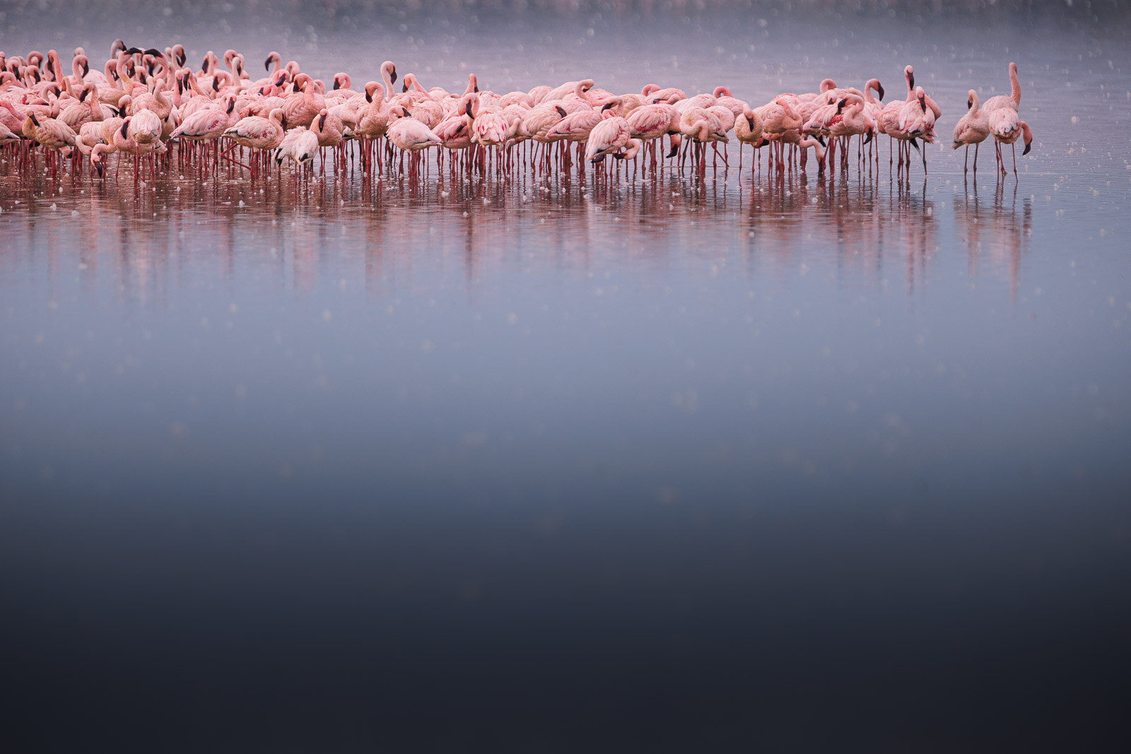 07192318082022230 ©SimonePaleari