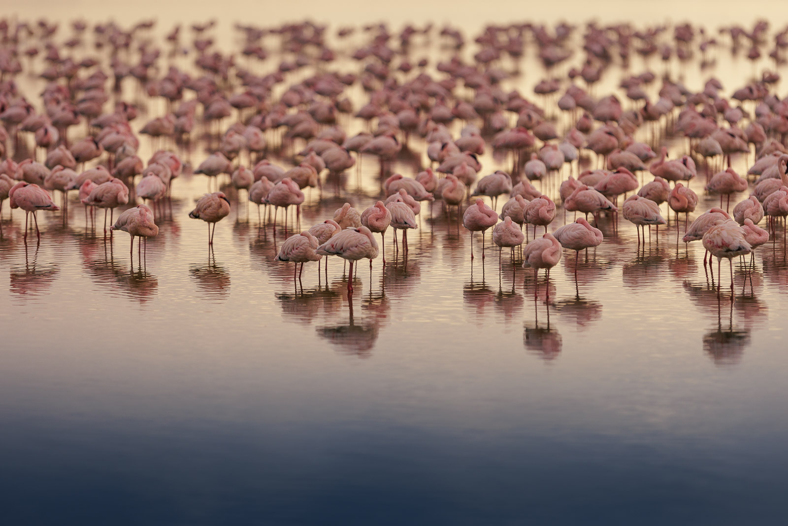 07204218082022230 ©SimonePaleari