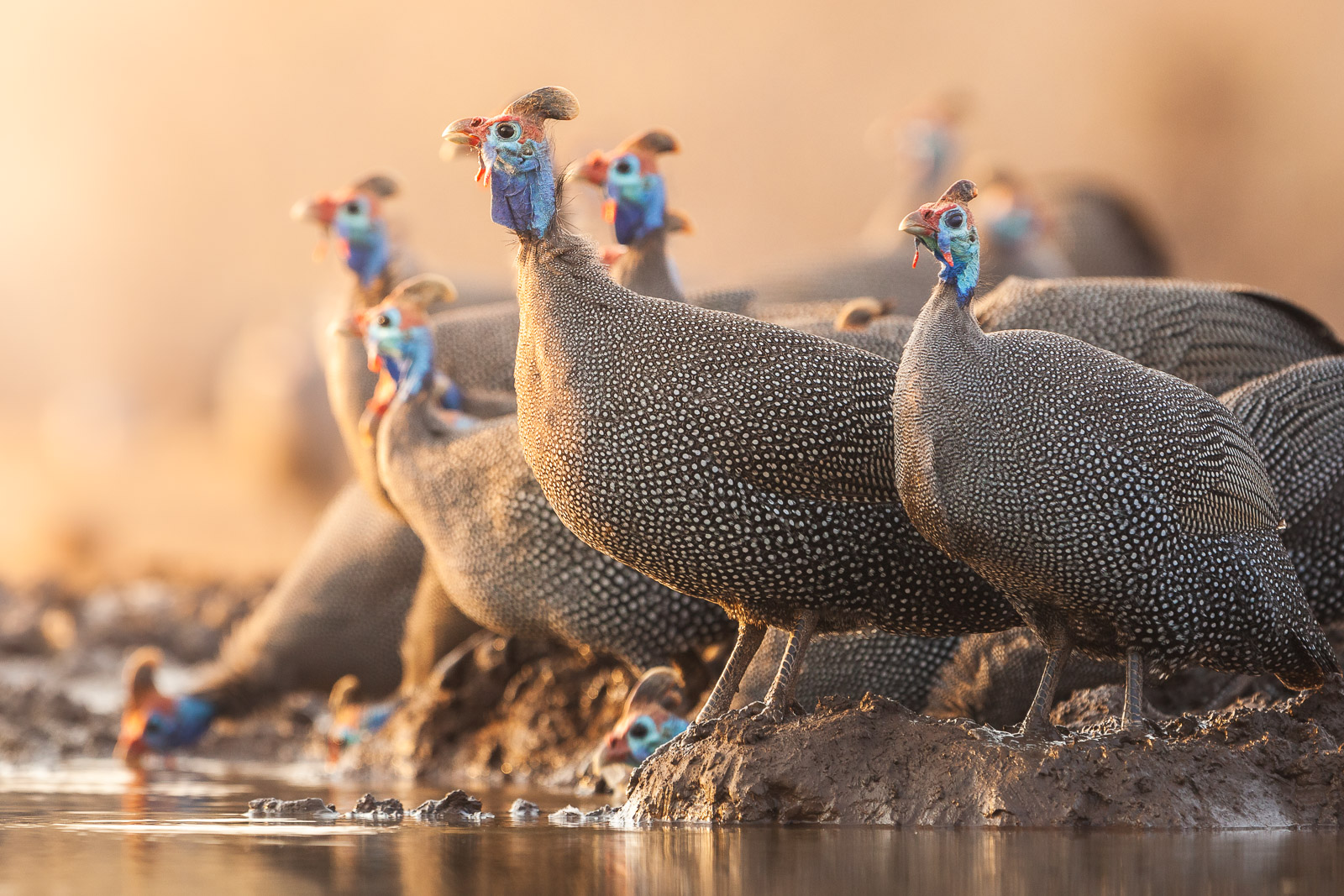 07301209082019221 ©SimonePaleari