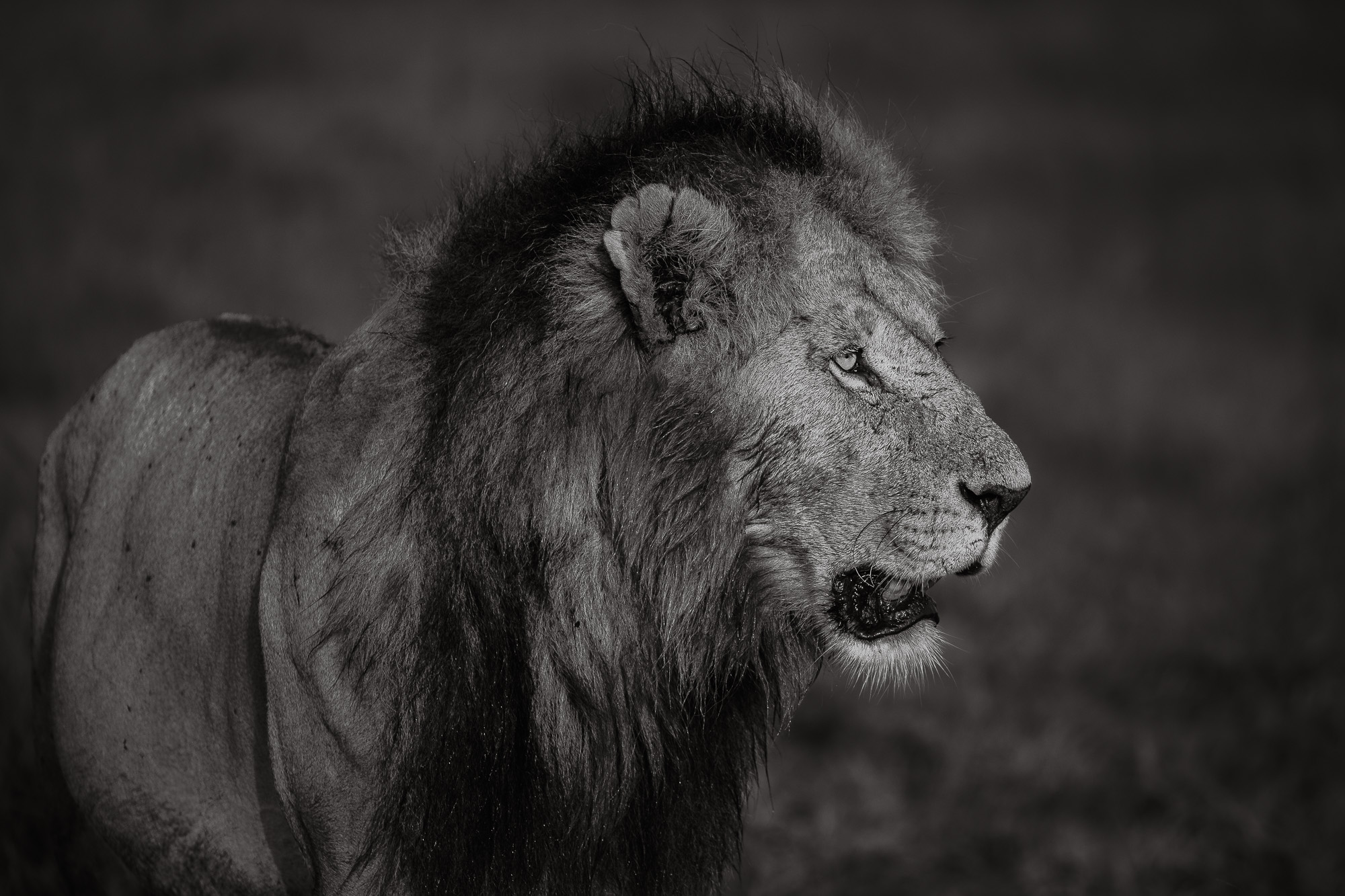 07301901012025001 ©SimonePaleari