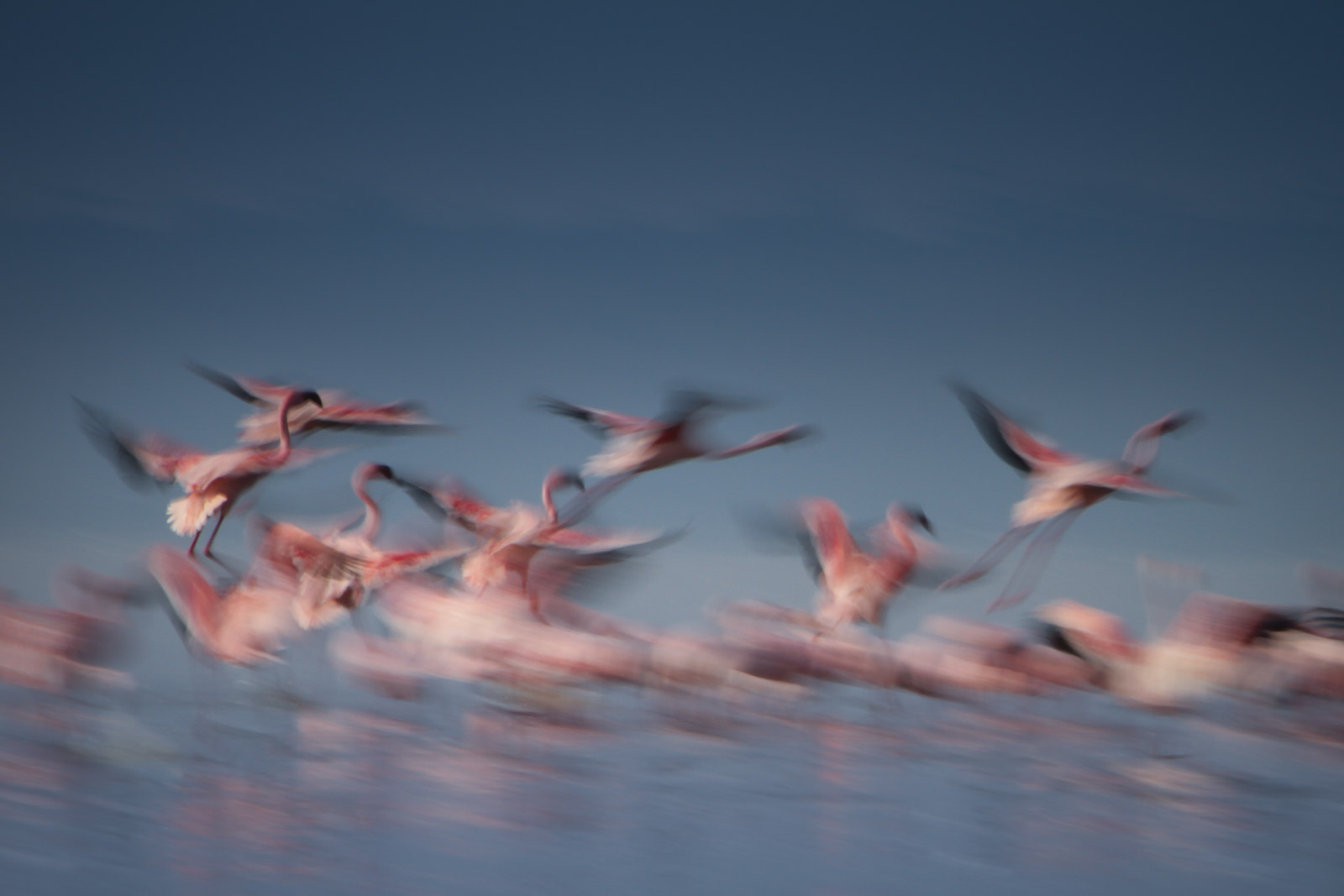 07315024082010236 ©SimonePaleari