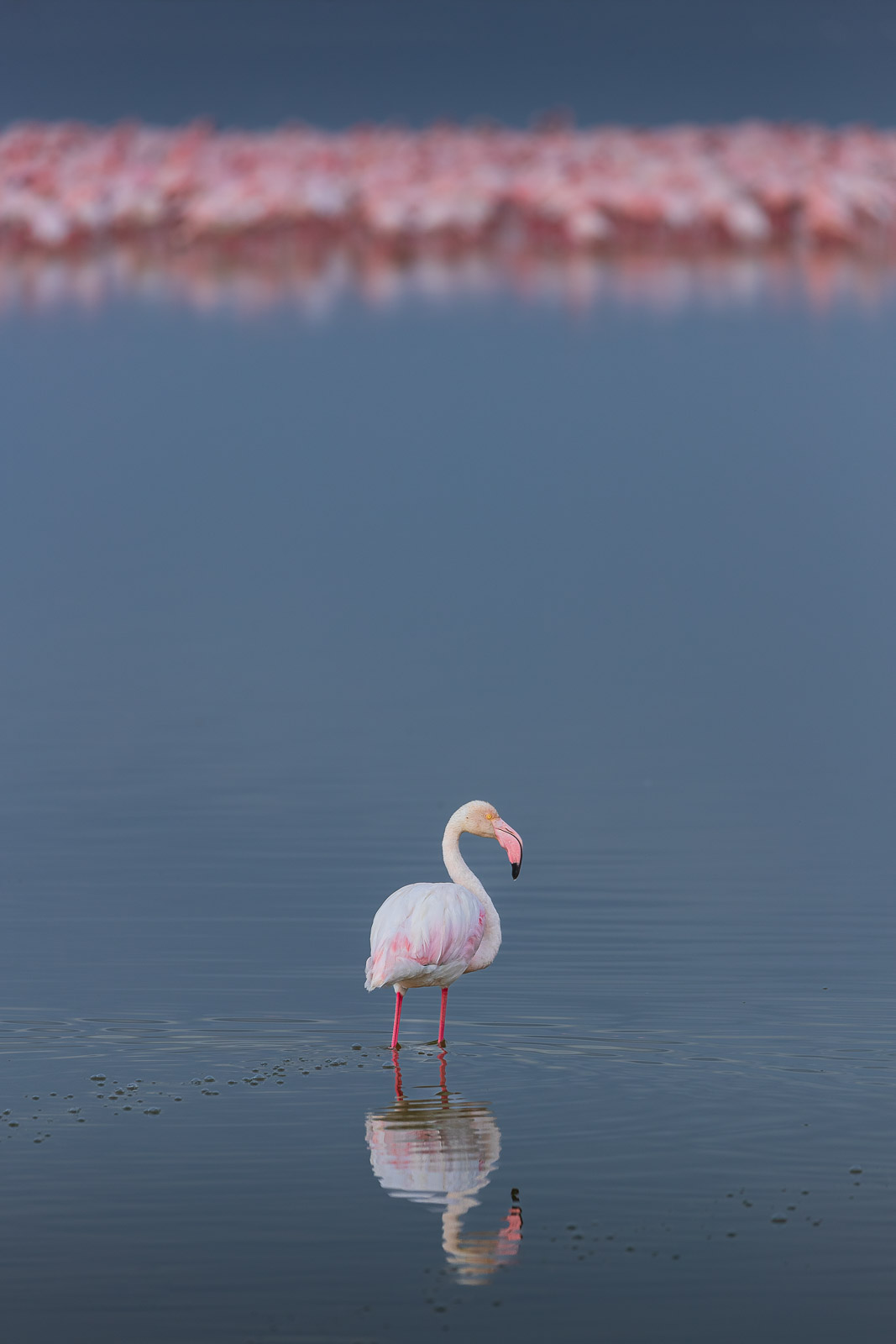 07442218082022230 ©SimonePaleari