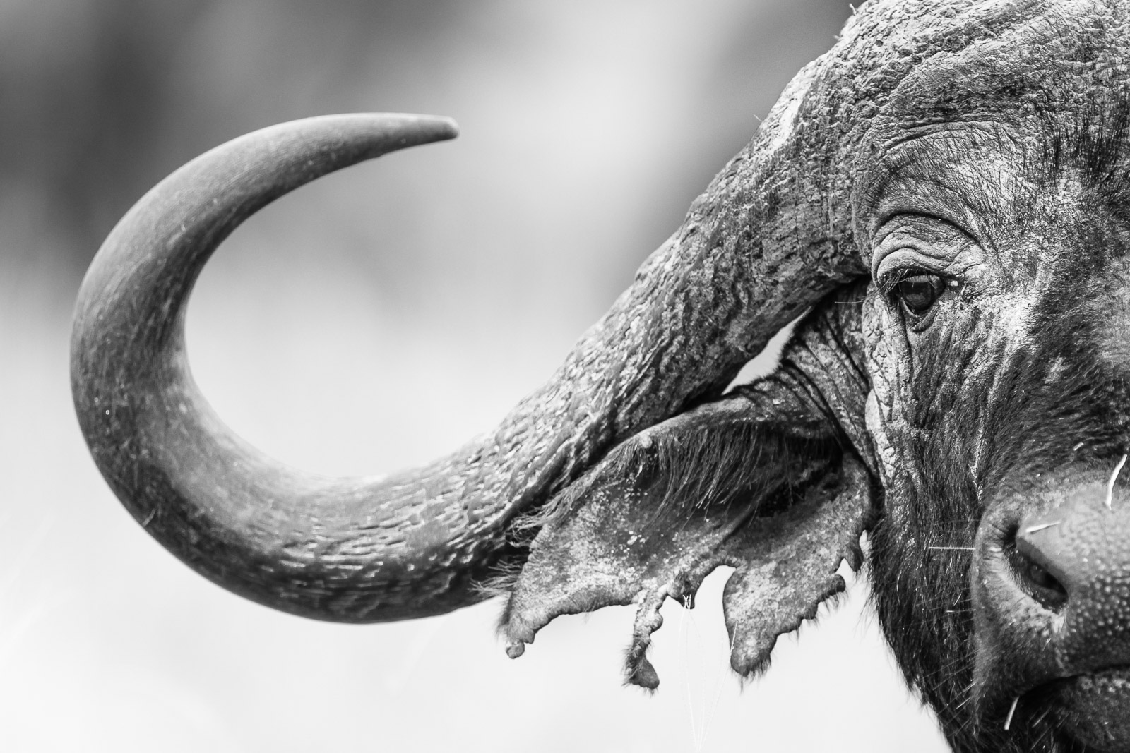 08142425082010237 ©SimonePaleari