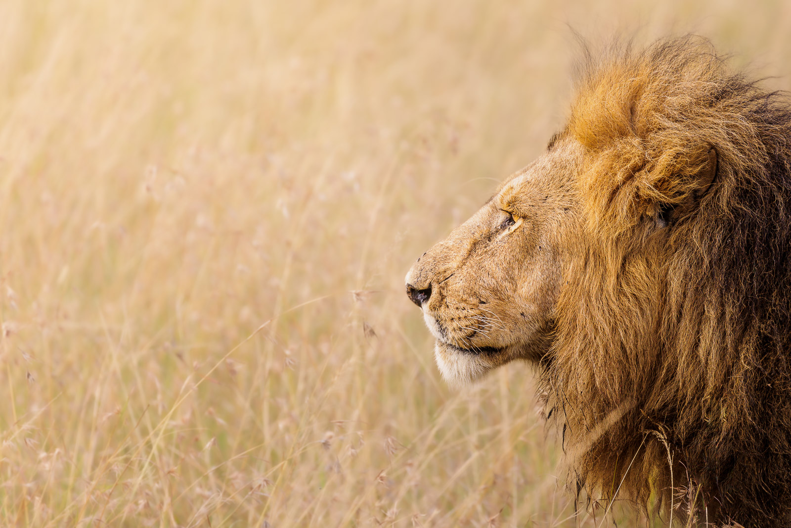 08174613082022225 ©SimonePaleari