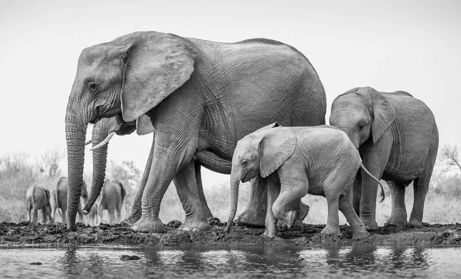 08501409082019221 ©SimonePaleari