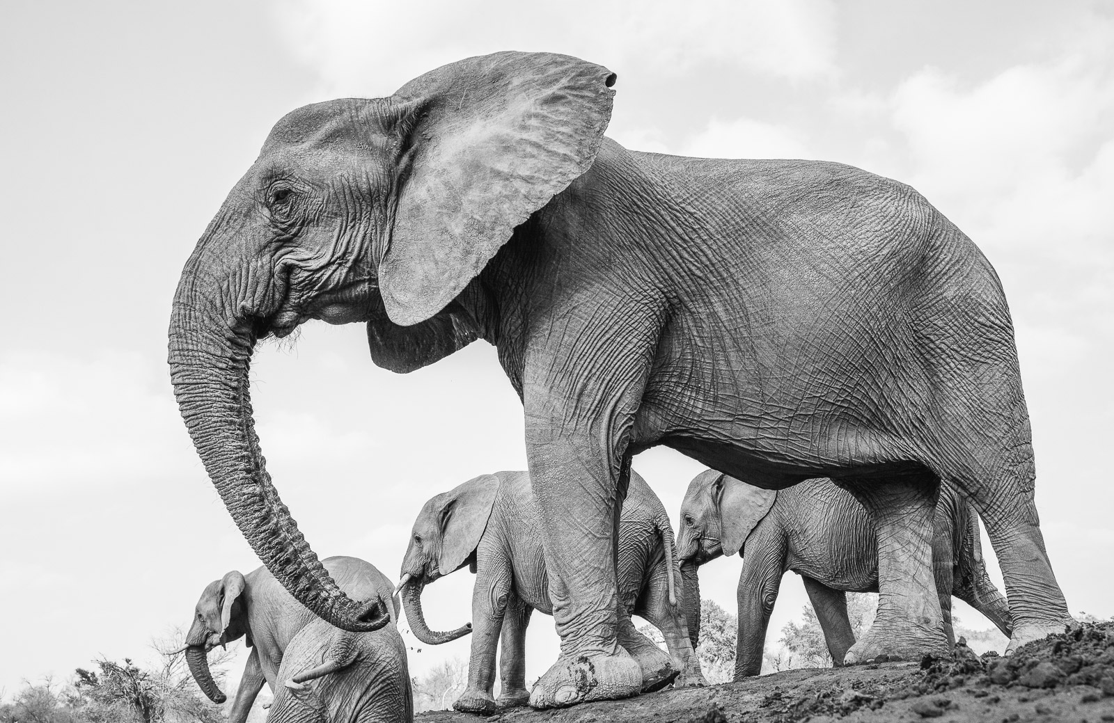 08532409082019221 ©SimonePaleari