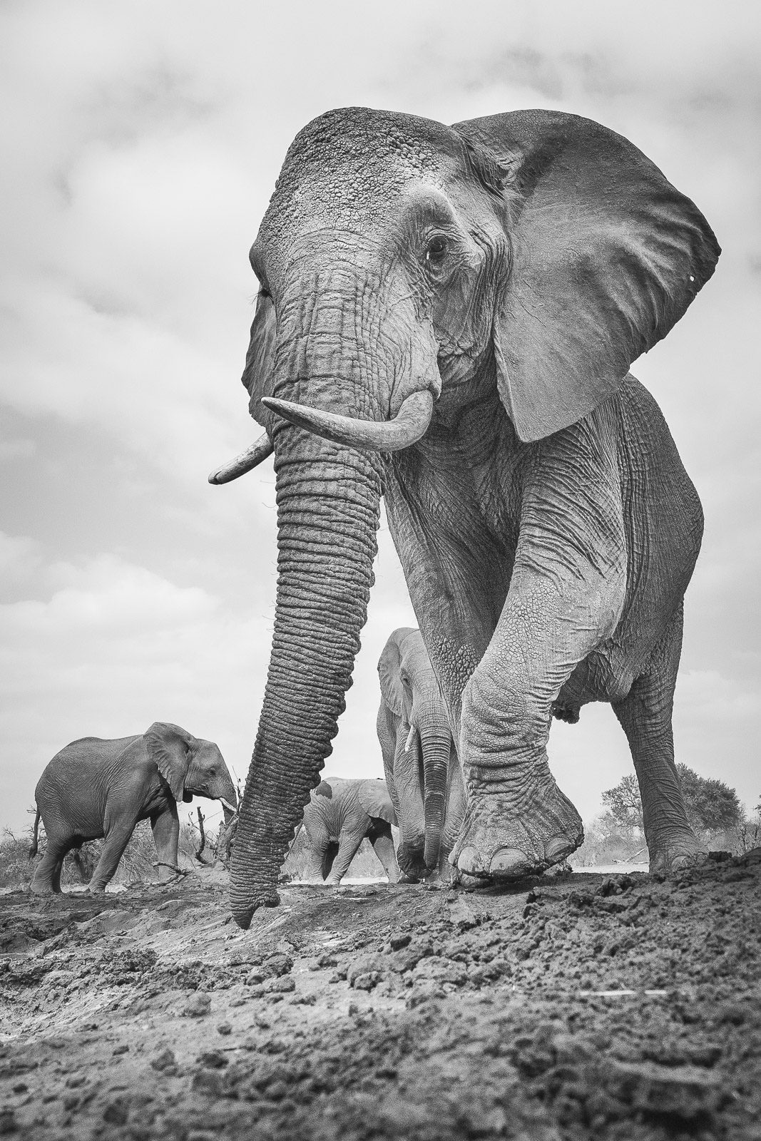 09445409082019221 ©SimonePaleari