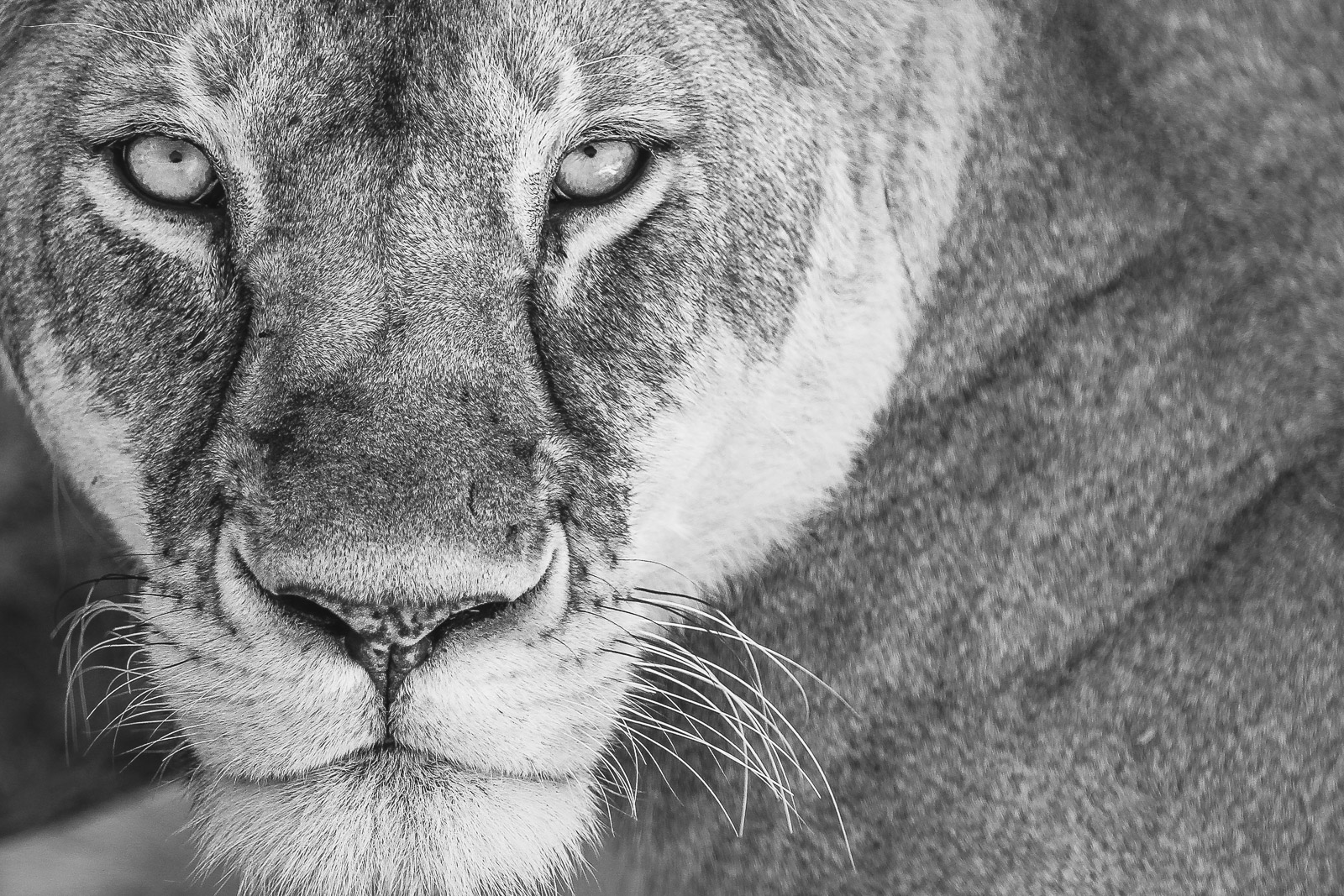 09574021082012234 ©SimonePaleari