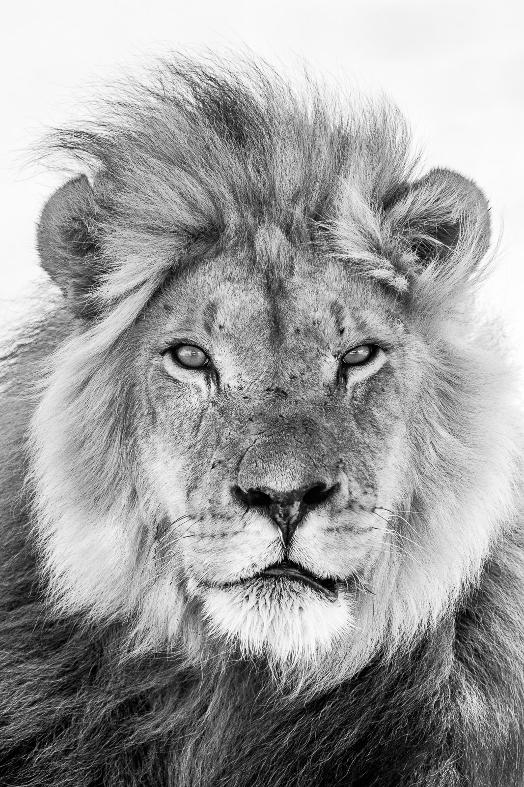 11071022082019234 ©SimonePaleari