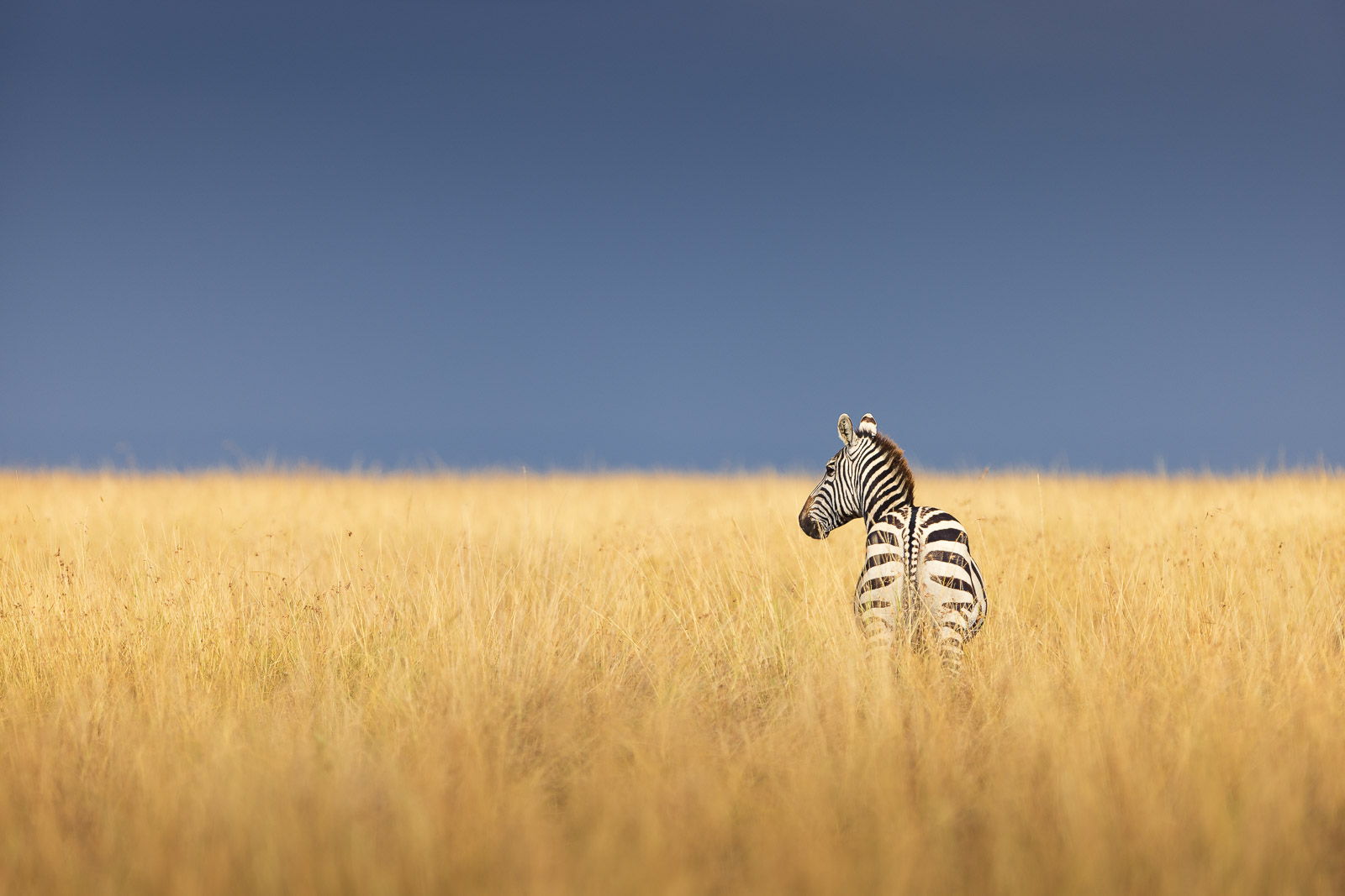 16090915082022227 ©SimonePaleari