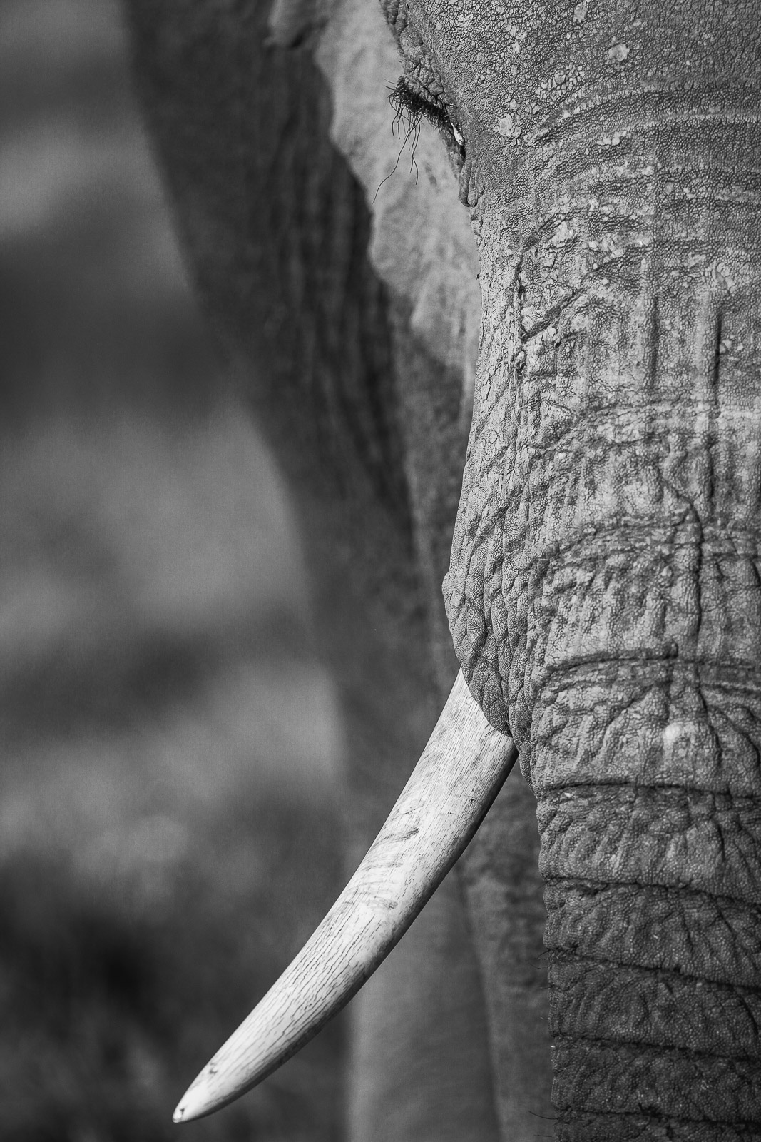 16484828082012241 ©SimonePaleari