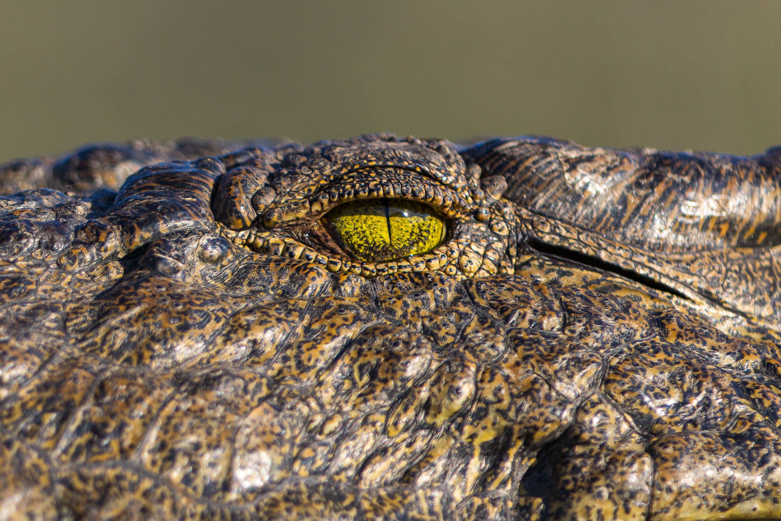 16492503082025215 ©SimonePaleari