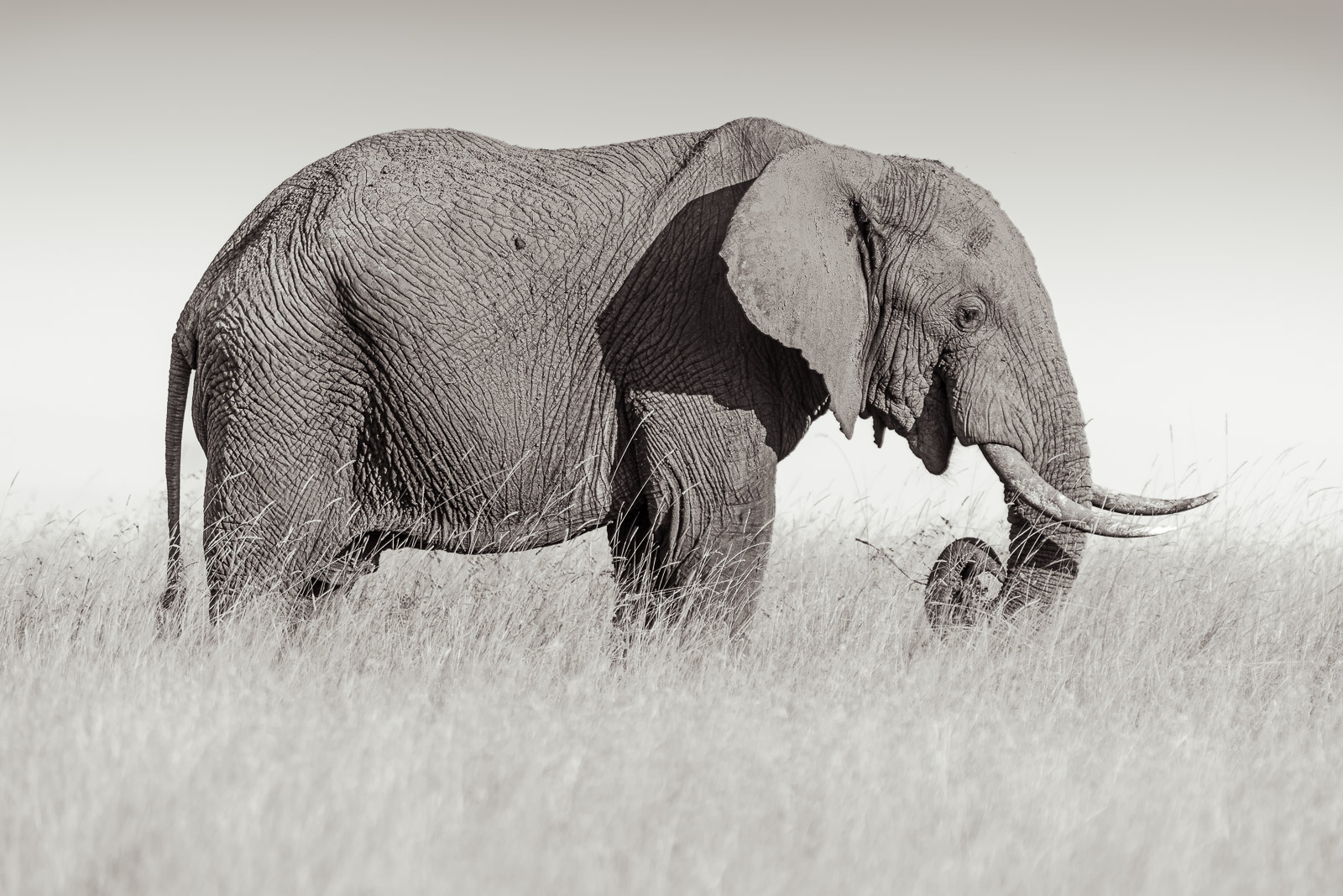 17205811082022223 ©SimonePaleari