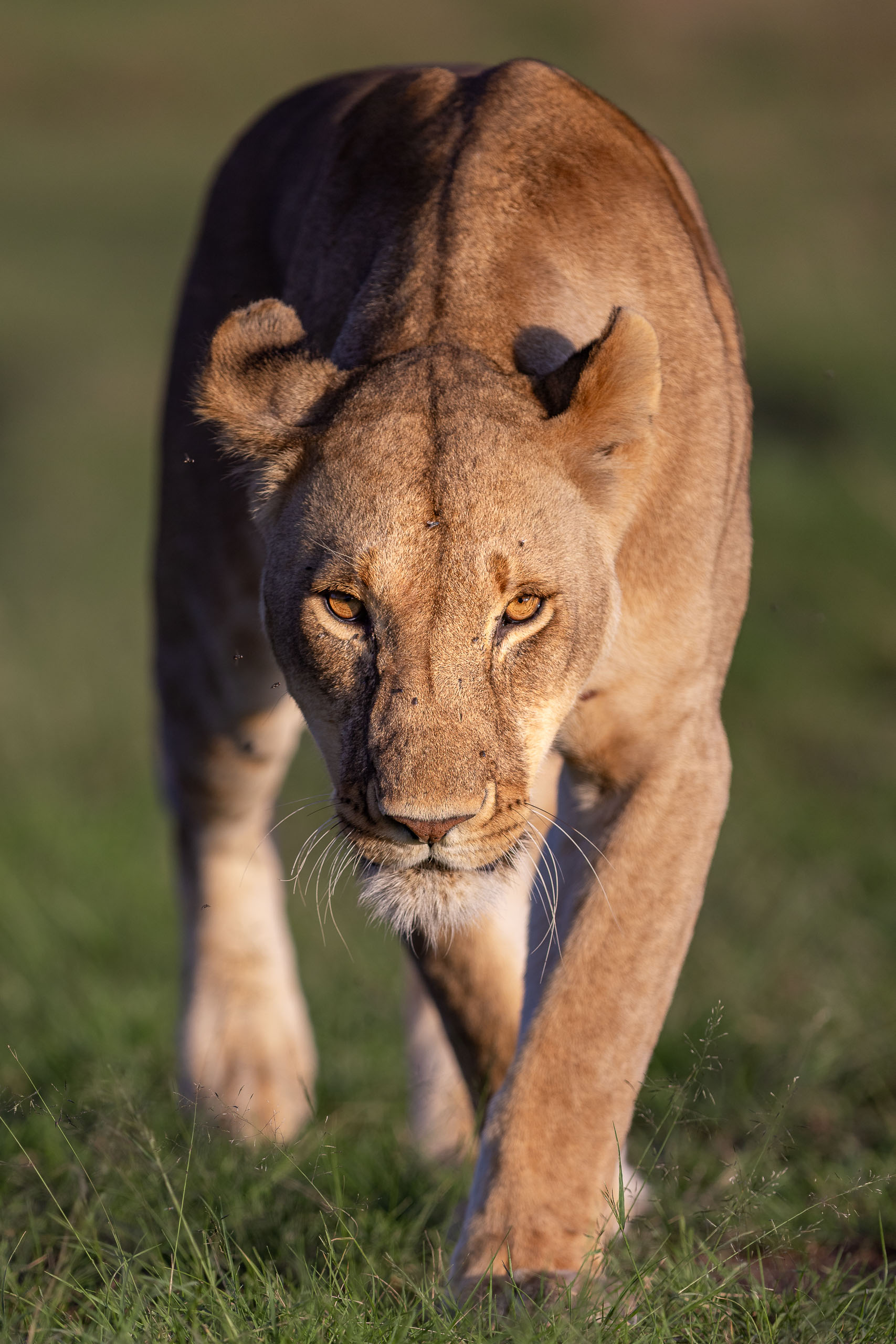 18105503012026003 ©SimonePaleari