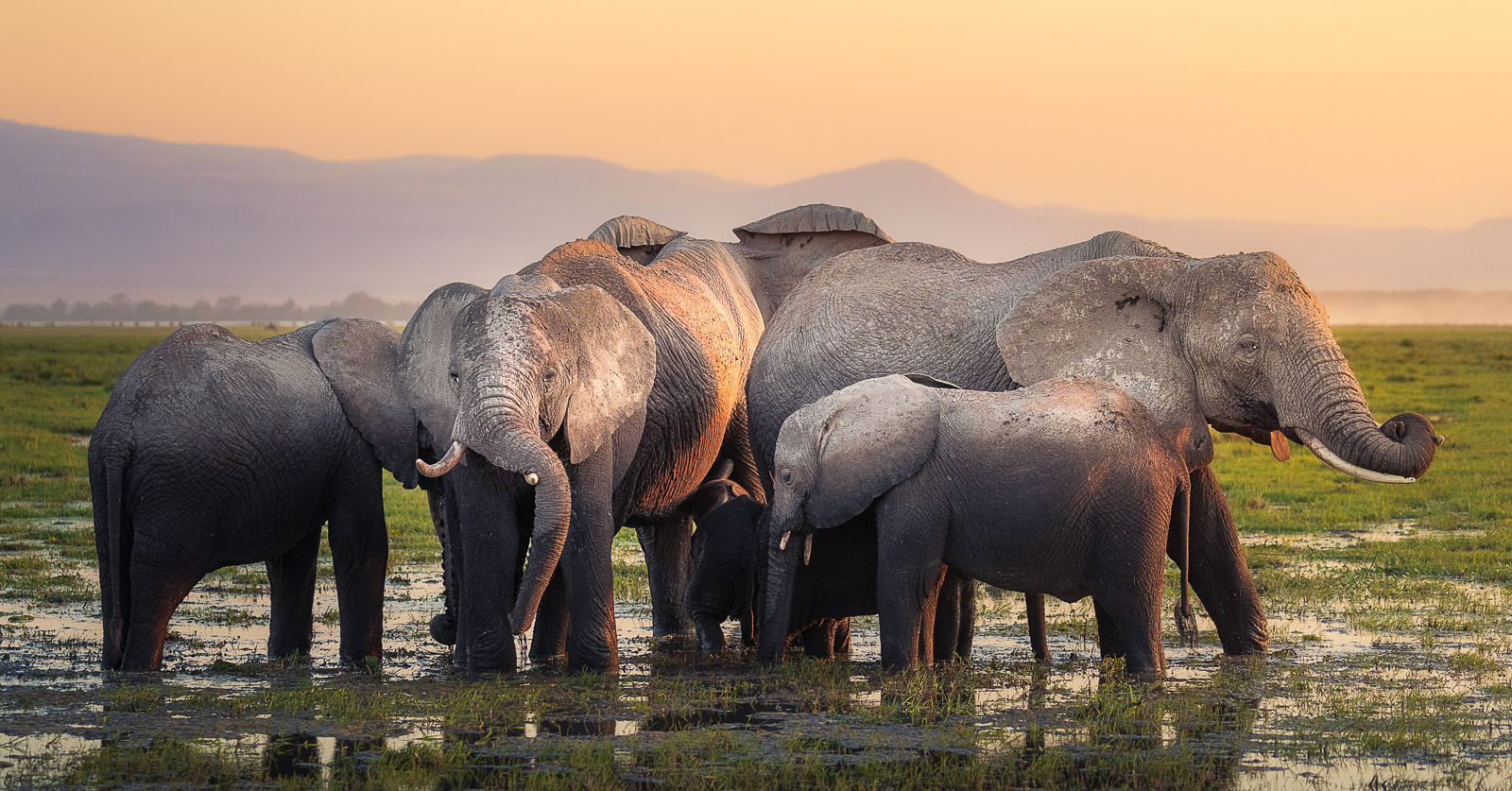 18264519082022231 ©SimonePaleari