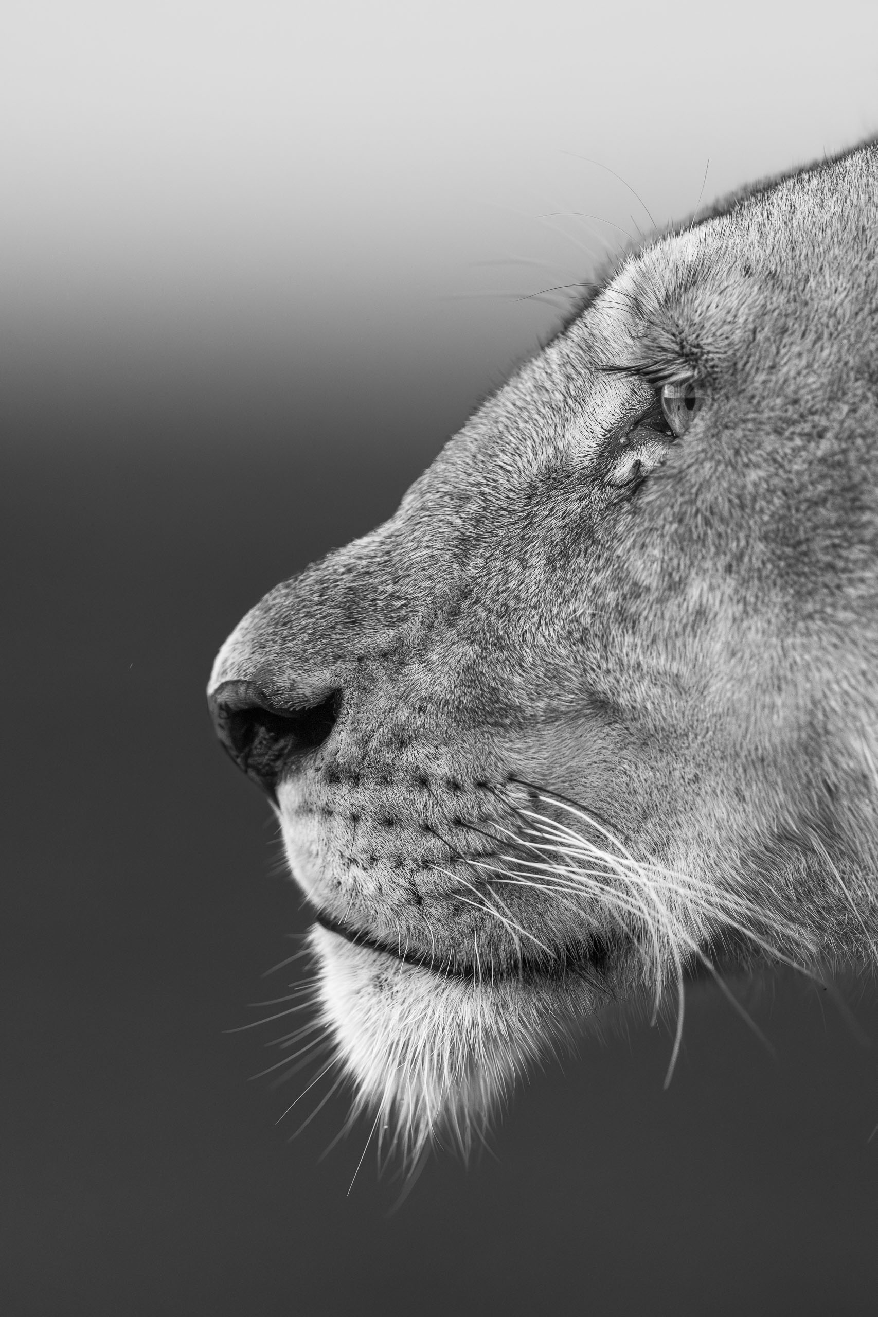 18272804012026004 ©SimonePaleari